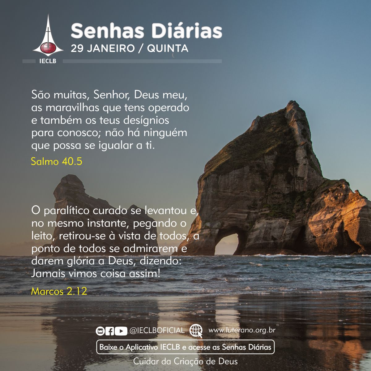 Senhas Diárias 29 01 2026