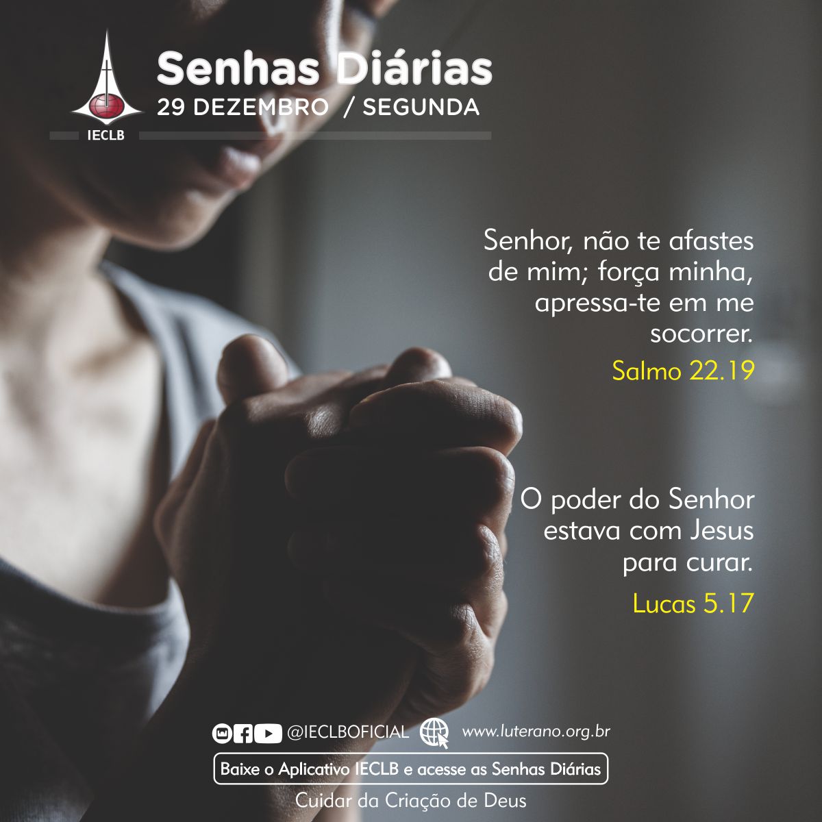 Senhas Diárias 29 12 2025