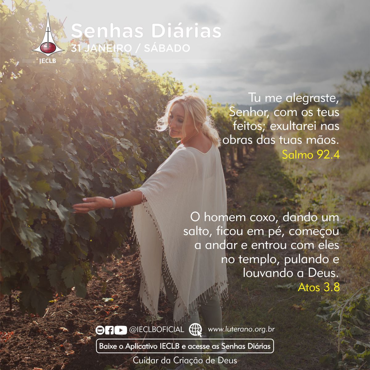 Senhas Diárias 31 01 2026