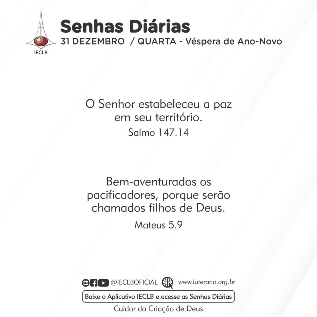 Senhas Diárias 31 12 2025