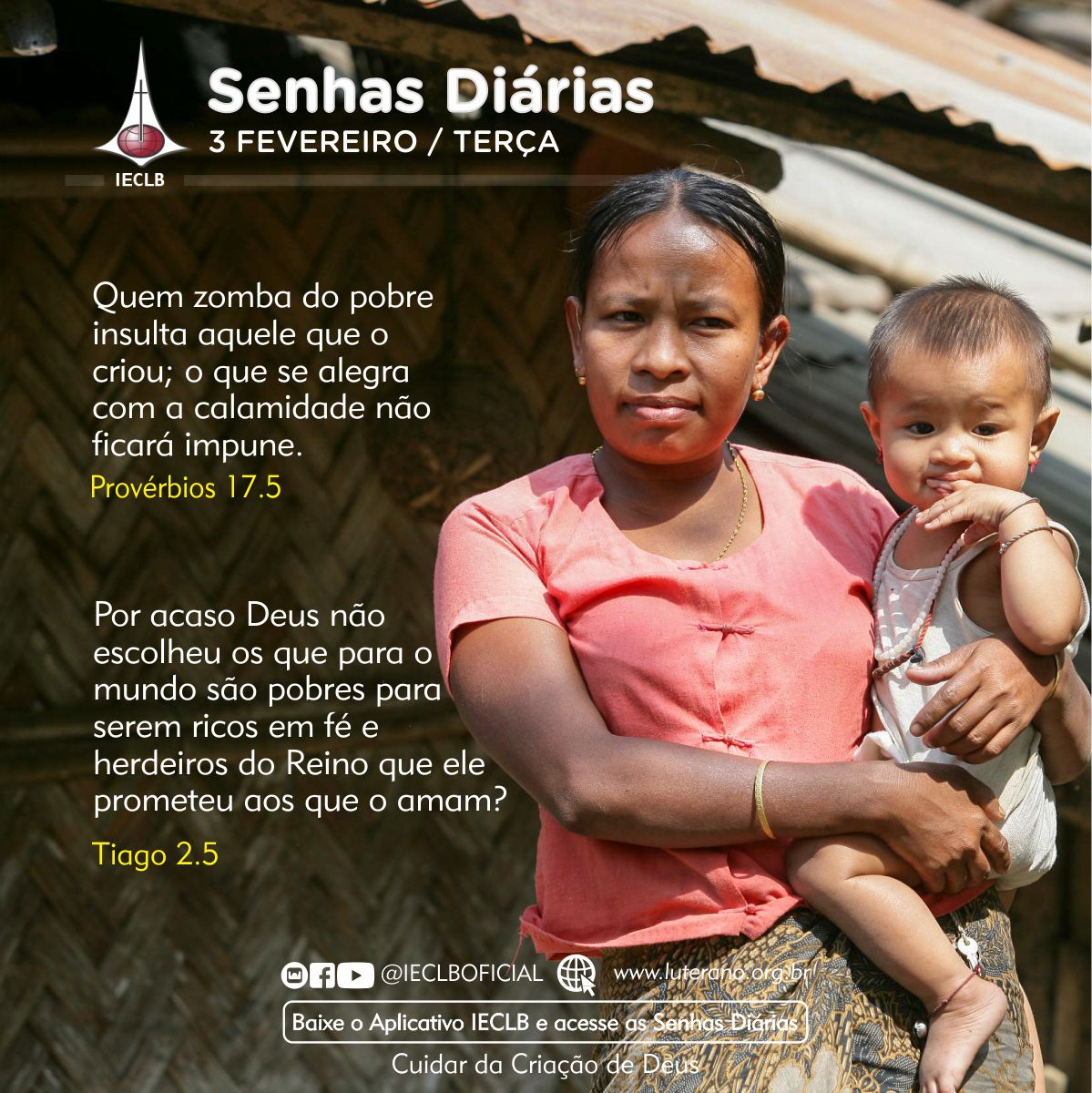 Senhas Diárias 03 02 2026