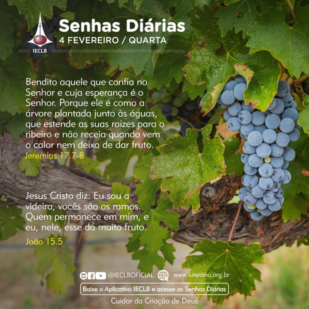 Senhas Diárias 04 02 2026