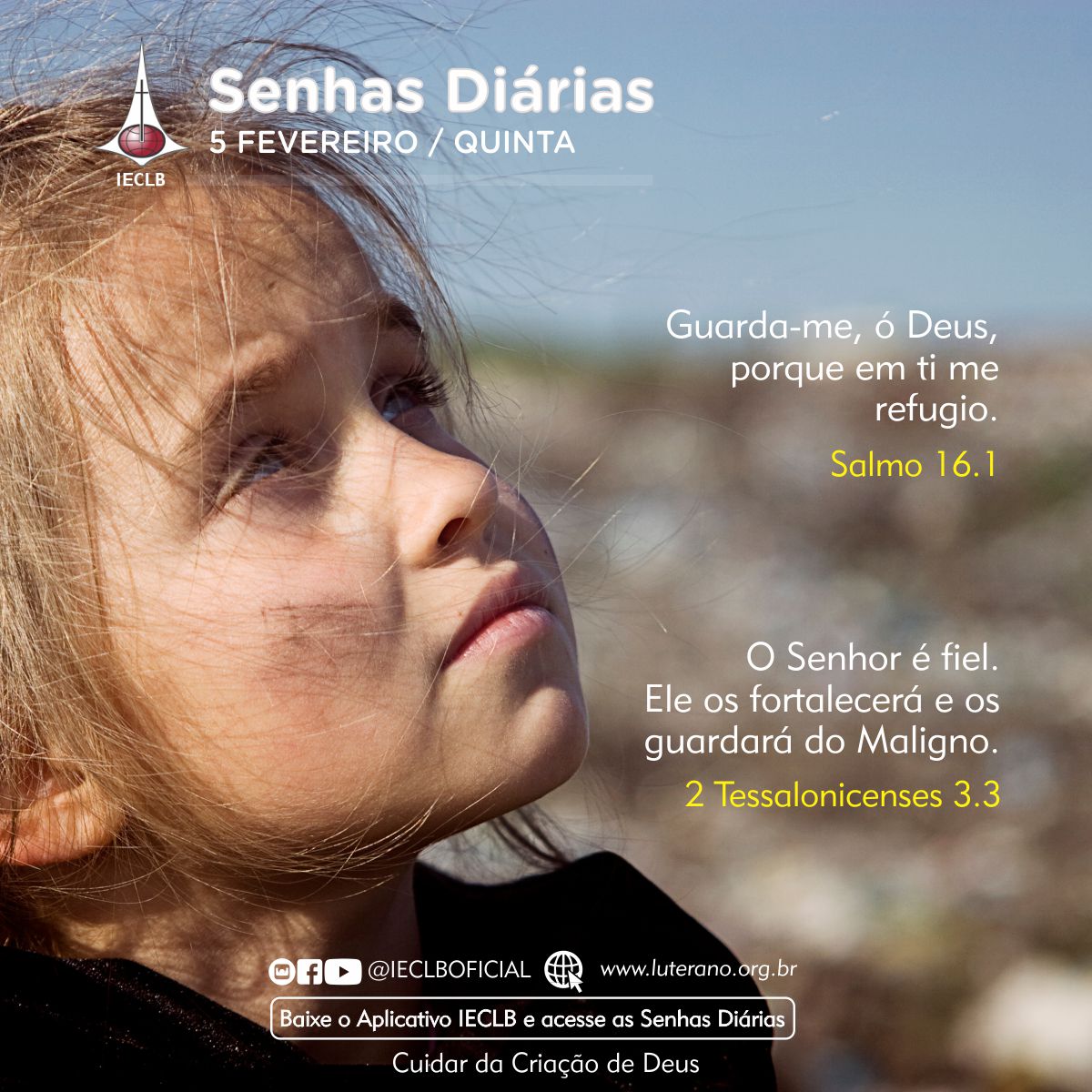 Senhas Diárias 05 02 2026