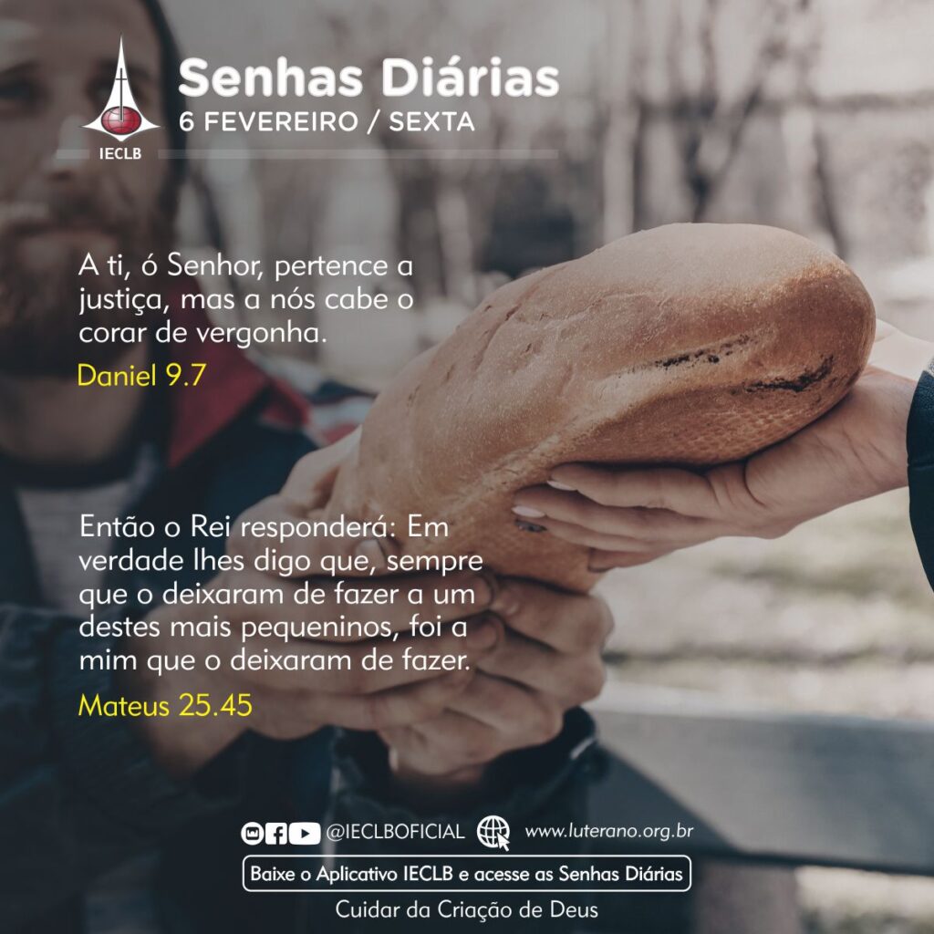 Senhas Diárias 06 02 2026