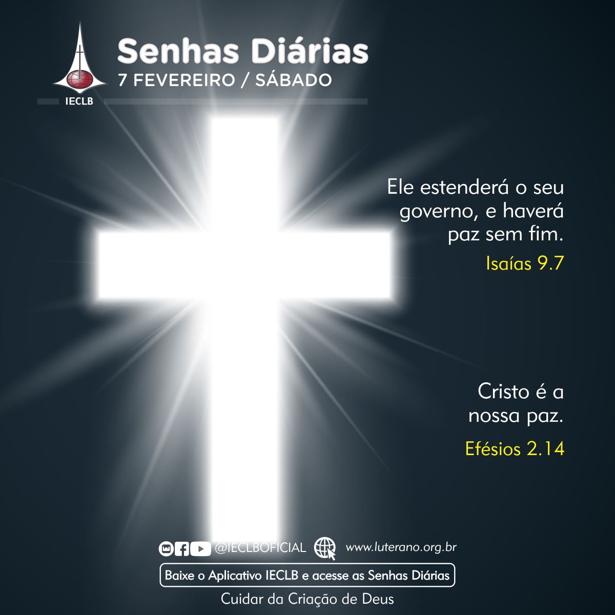 Senhas Diárias 07 02 2026