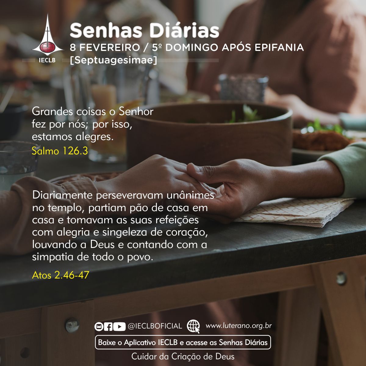 Senhas Diárias 08 02 2026