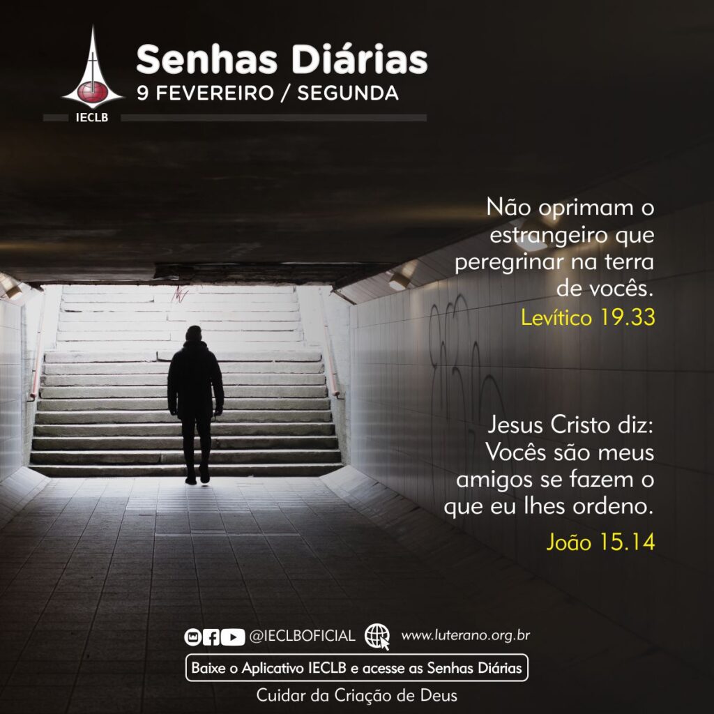 Senhas Diárias 09 02 2026