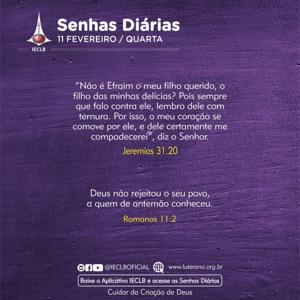 Senhas Diárias 11 02 2026