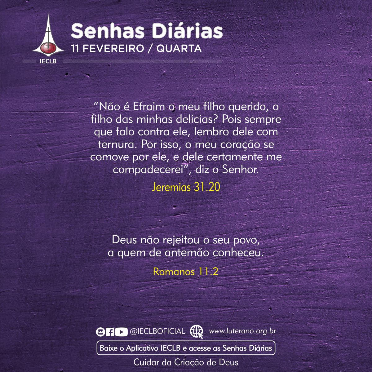 Senhas Diárias 11 02 2026