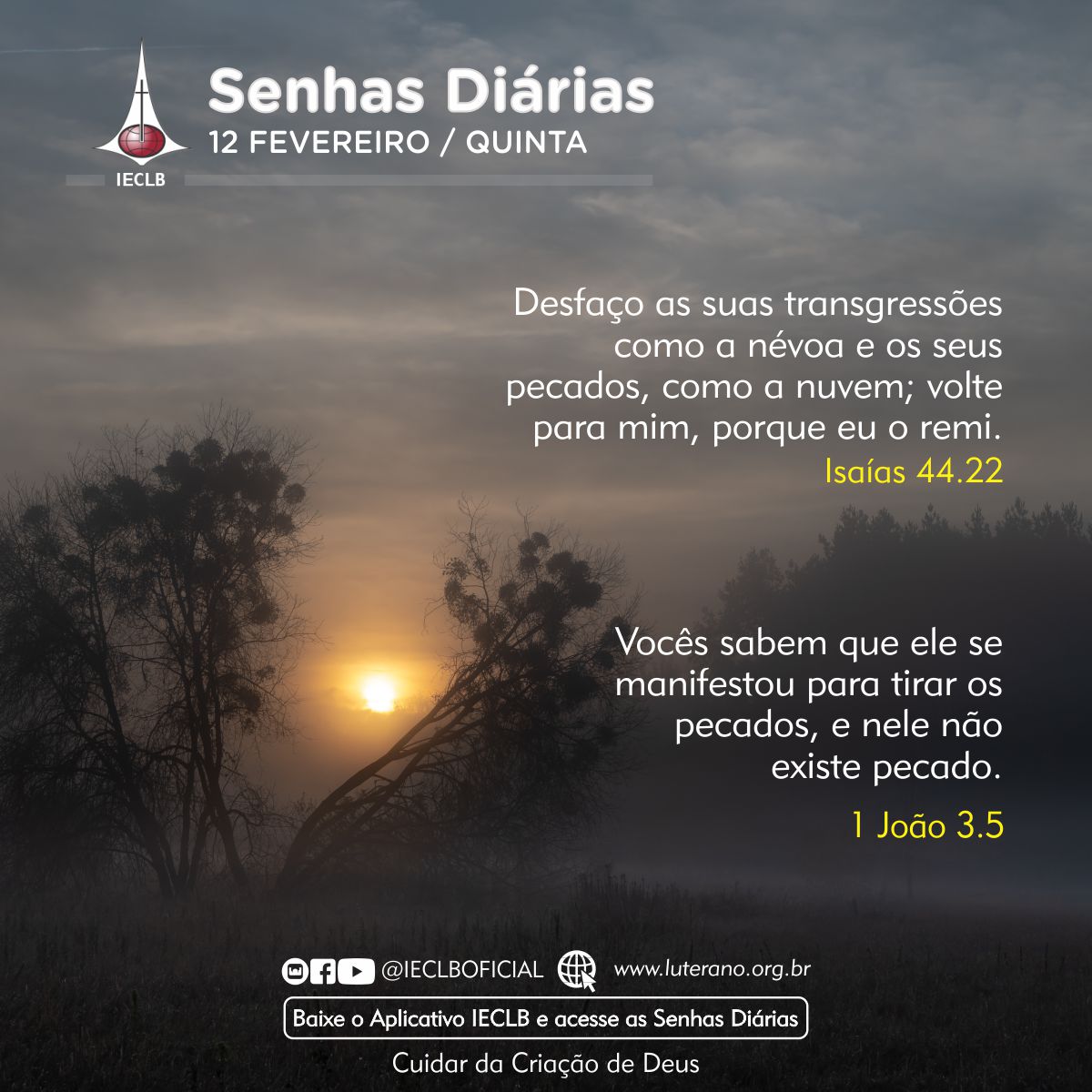 Senhas Diárias 12 02 2026