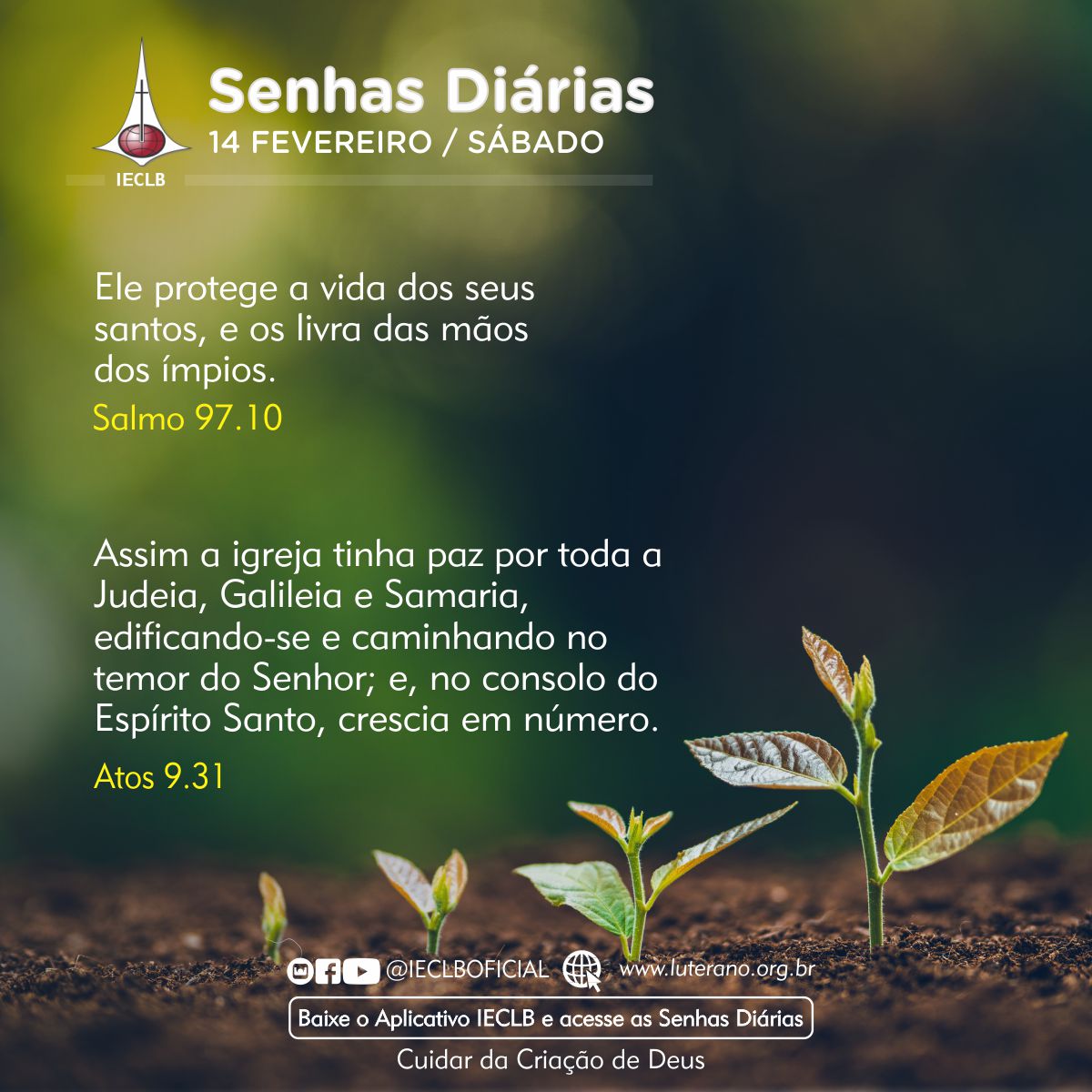 Senhas Diárias 14 02 2026
