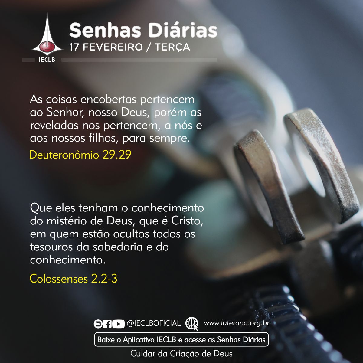 Senhas Diárias 17 02 2026
