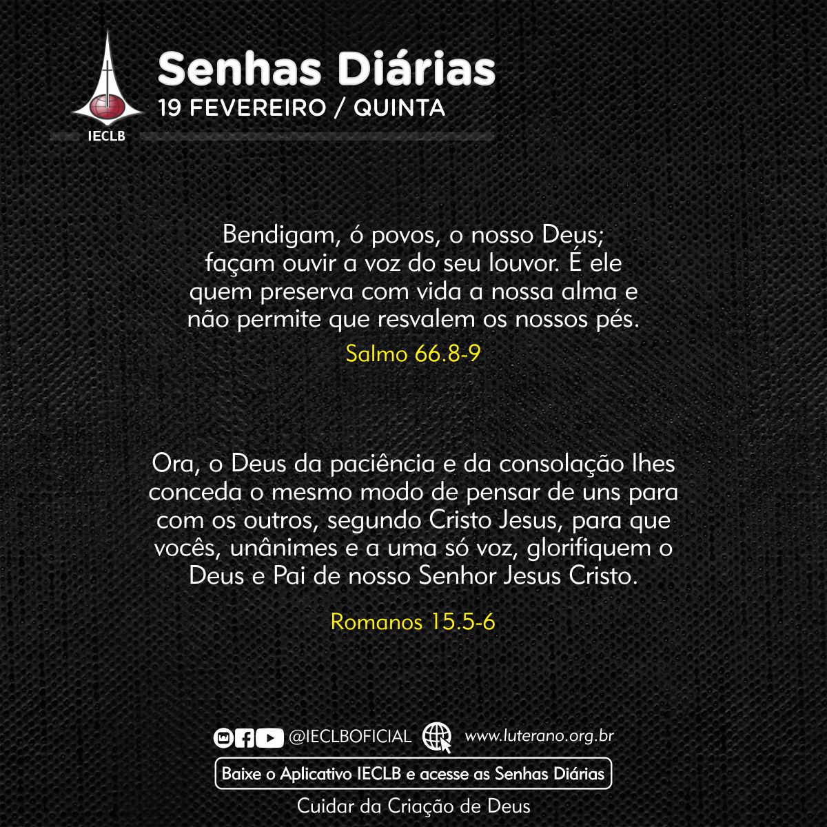 Senhas Diárias 19 02 2026
