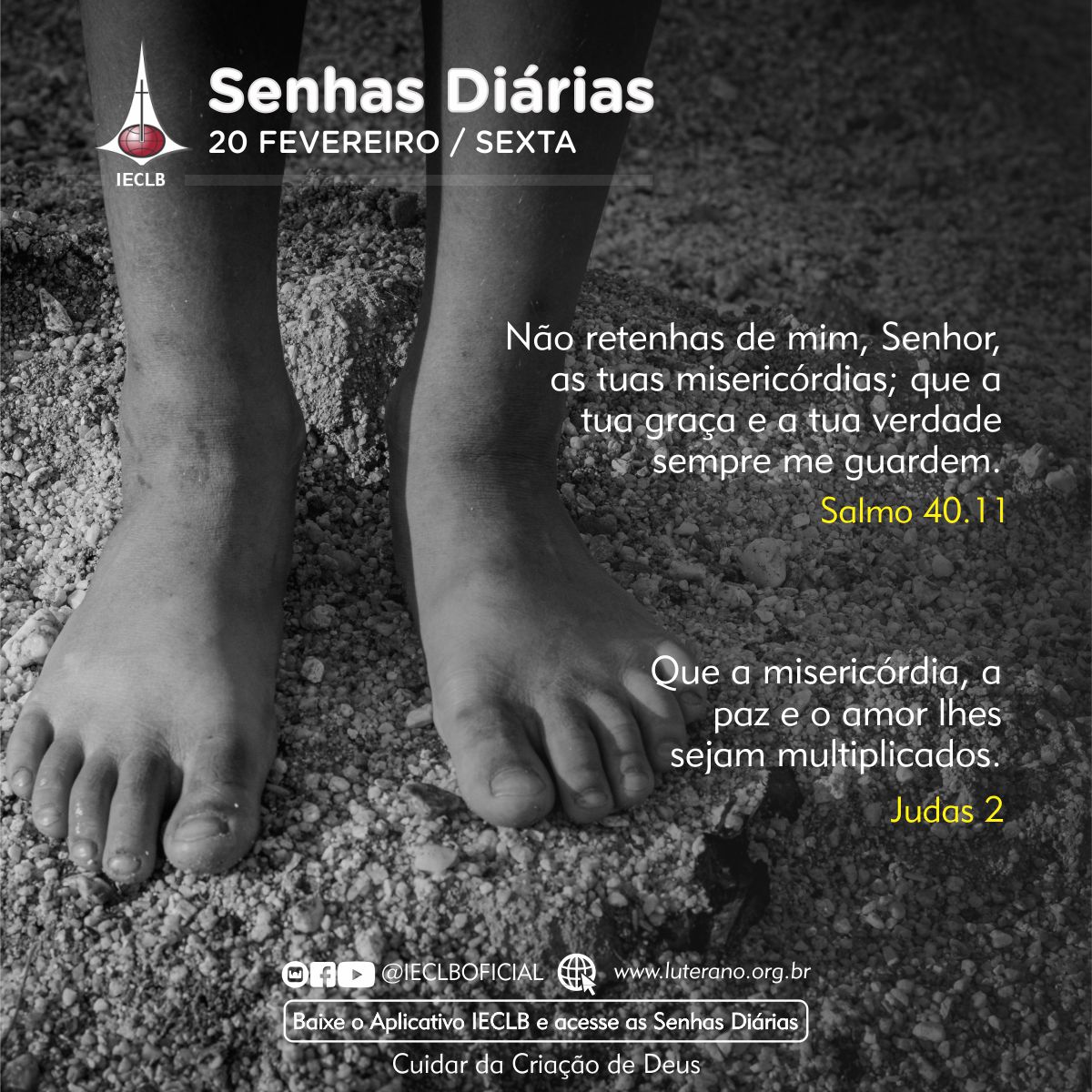 Senhas Diárias 20 02 2026