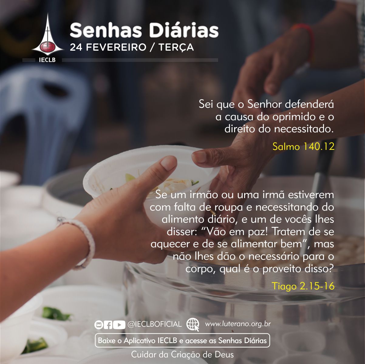 Senhas Diárias 24 02 2026