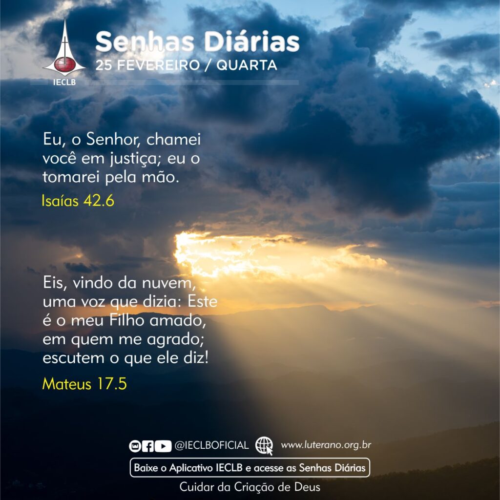 Senhas Diárias 25 02 2026