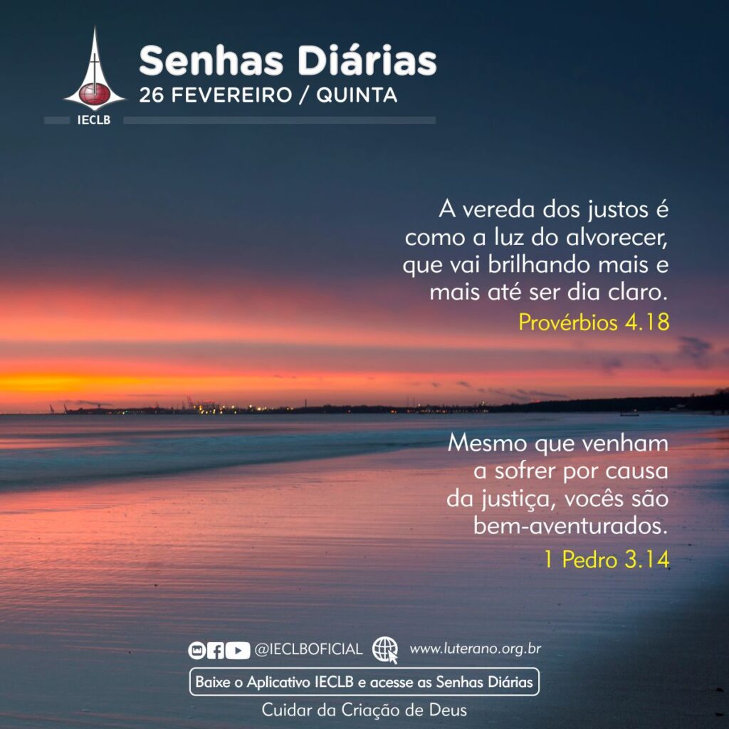 Senhas Diárias 26 02 2026