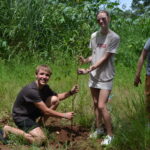 Plantio de árvores (2)