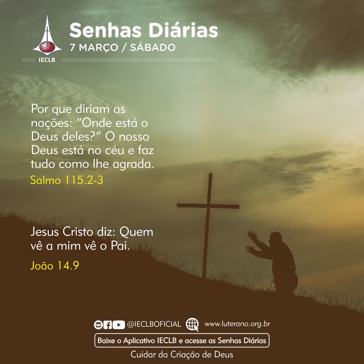 Senhas Diárias 07 03 2026