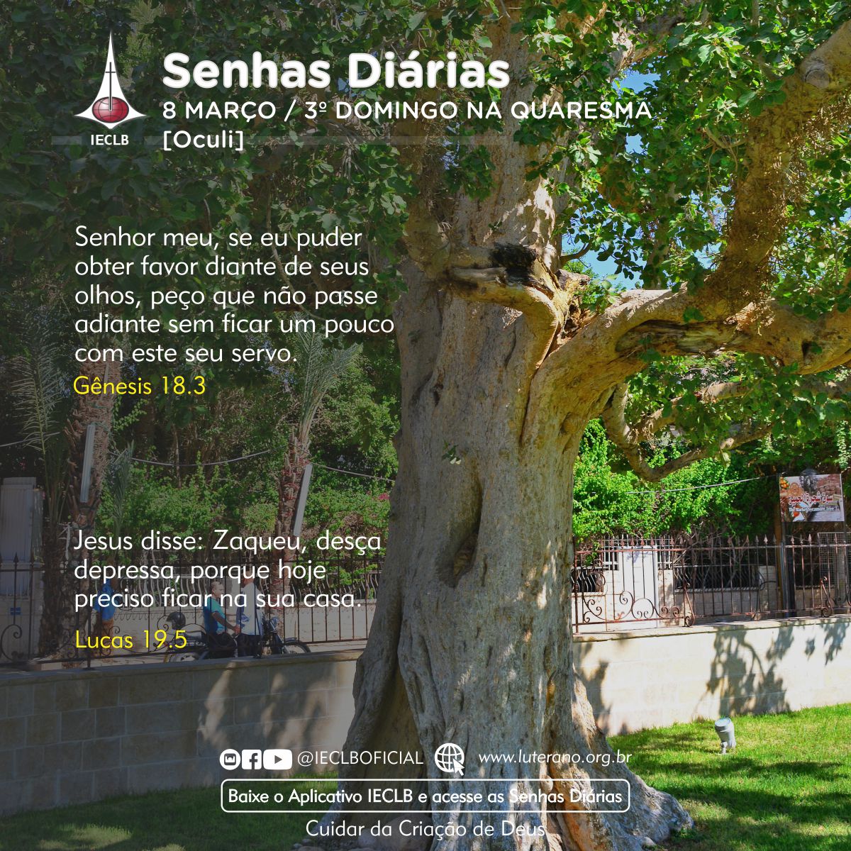 Senhas Diárias 08 03 2026
