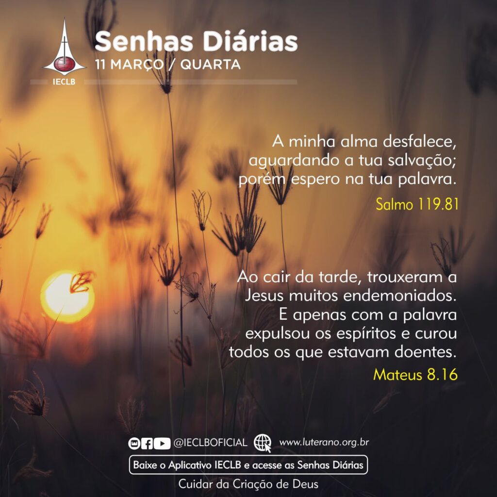 Senhas Diárias 11 03 2026