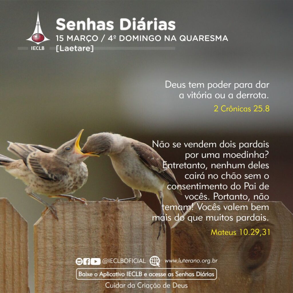 Senhas Diárias 15 03 2026