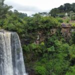 WhatsApp Image 2026-02-17 at 09.48.34