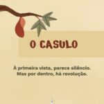 Meditações quaresma - o casulo