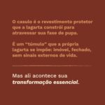 Meditações quaresma - o casulo