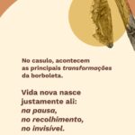 Meditações quaresma - o casulo