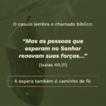 Meditações quaresma - o casulo
