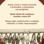Meditações quaresma - o casulo