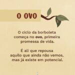 Meditação quaresmal - ovo1