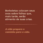 Meditação quaresmal - ovo2