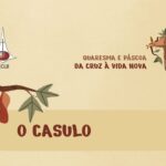 Meditações quaresma - o casulo