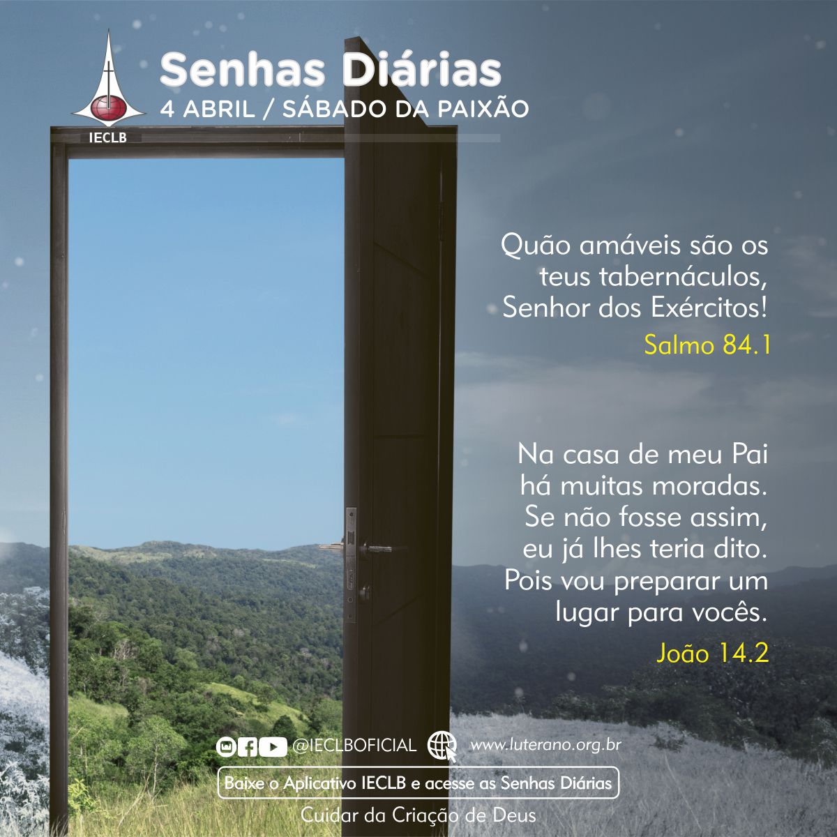Senhas Diárias 04 04 2026