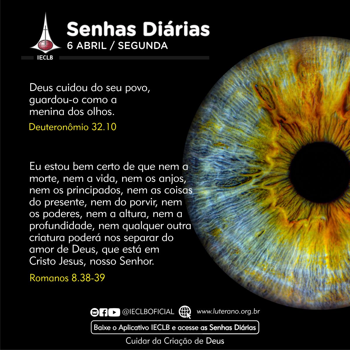 Senhas Diárias 06 04 2026