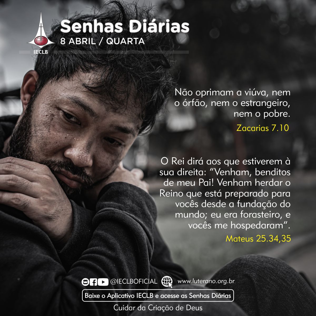 Senhas Diárias 08 04 2026