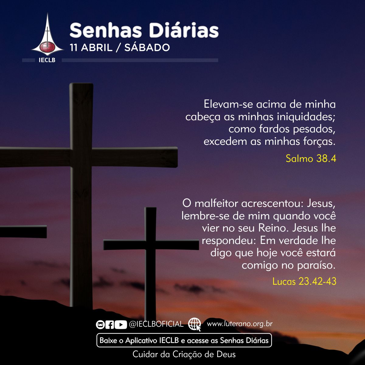 Senhas Diárias 11 04 2026