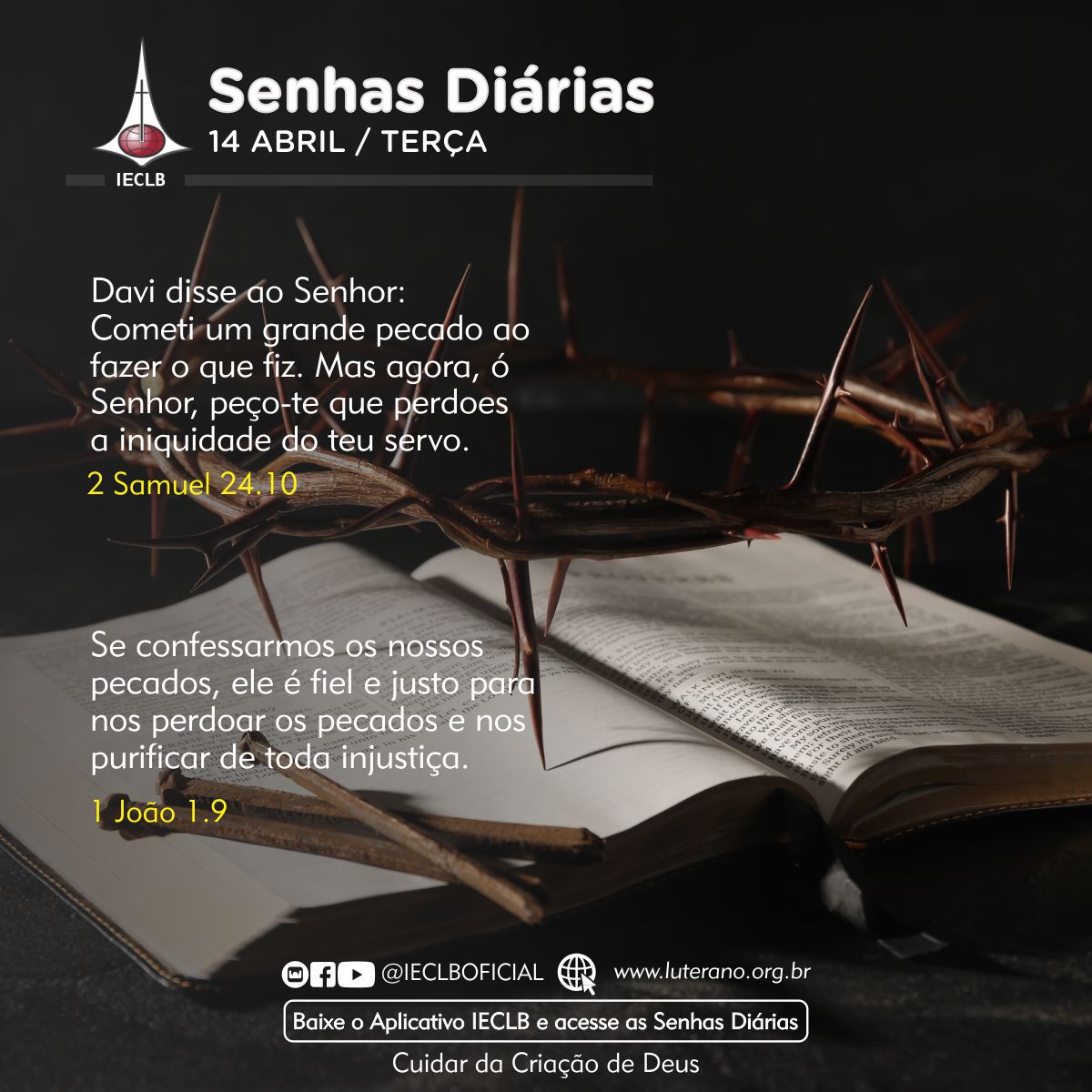Senhas Diárias 14 04 2026
