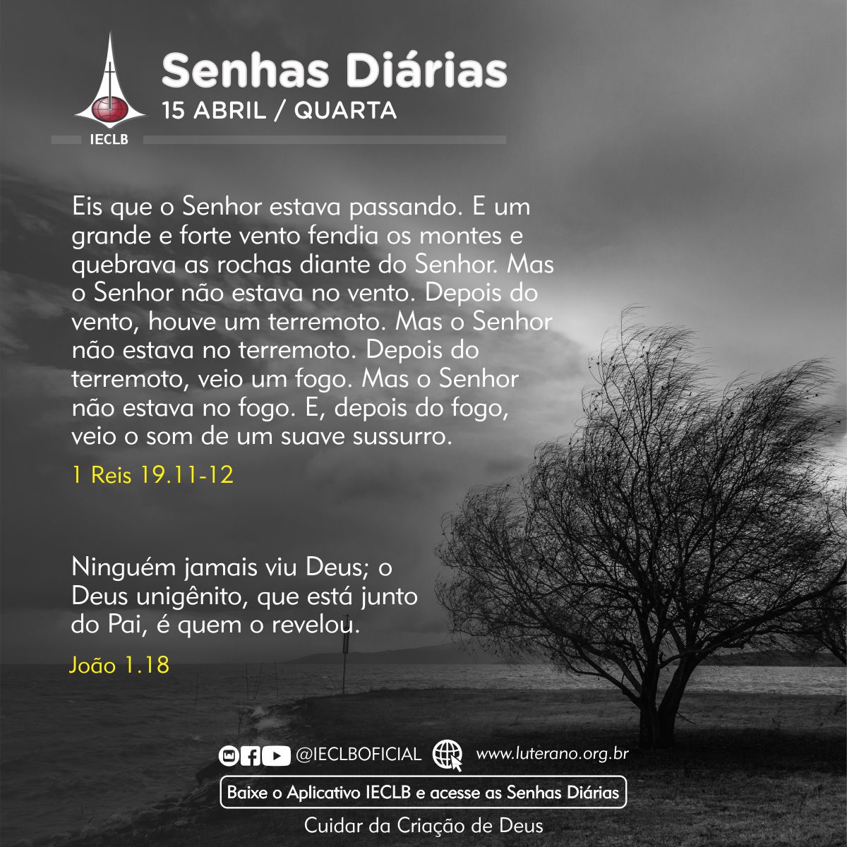 Senhas Diárias 15 04 2026