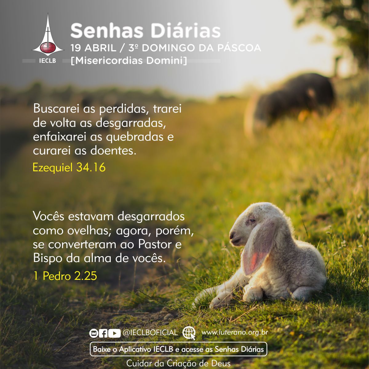 Senhas Diárias 19 04 2026