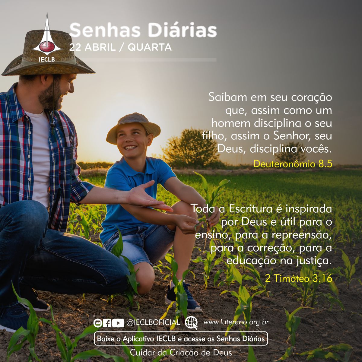 Senhas Diárias 22 04 2026