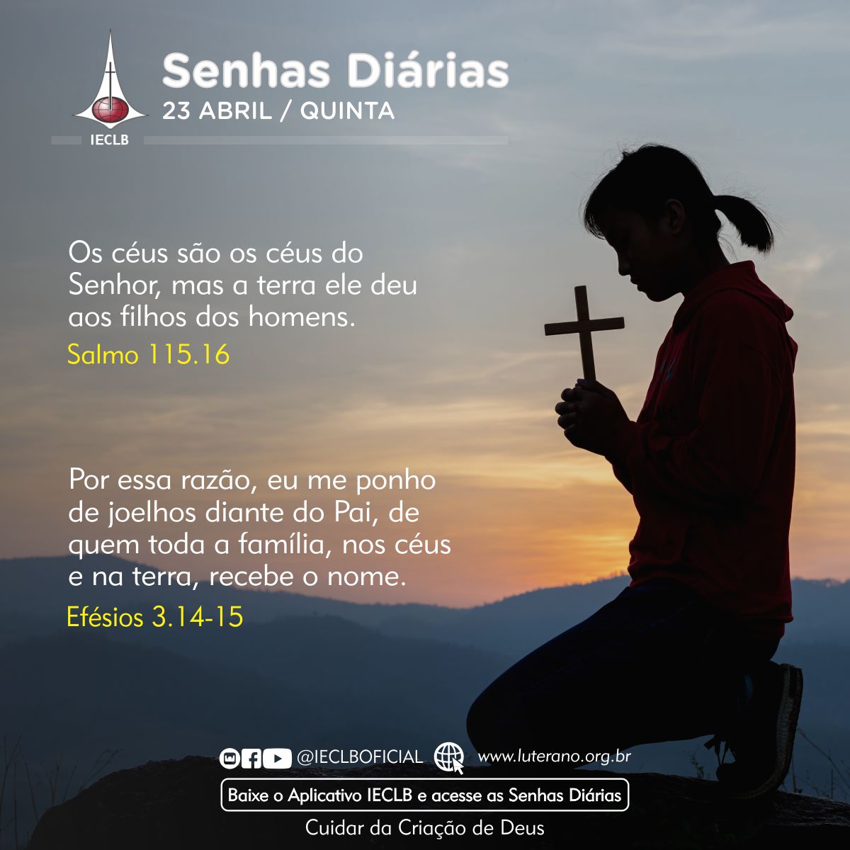 Senhas Diárias 23 04 2026