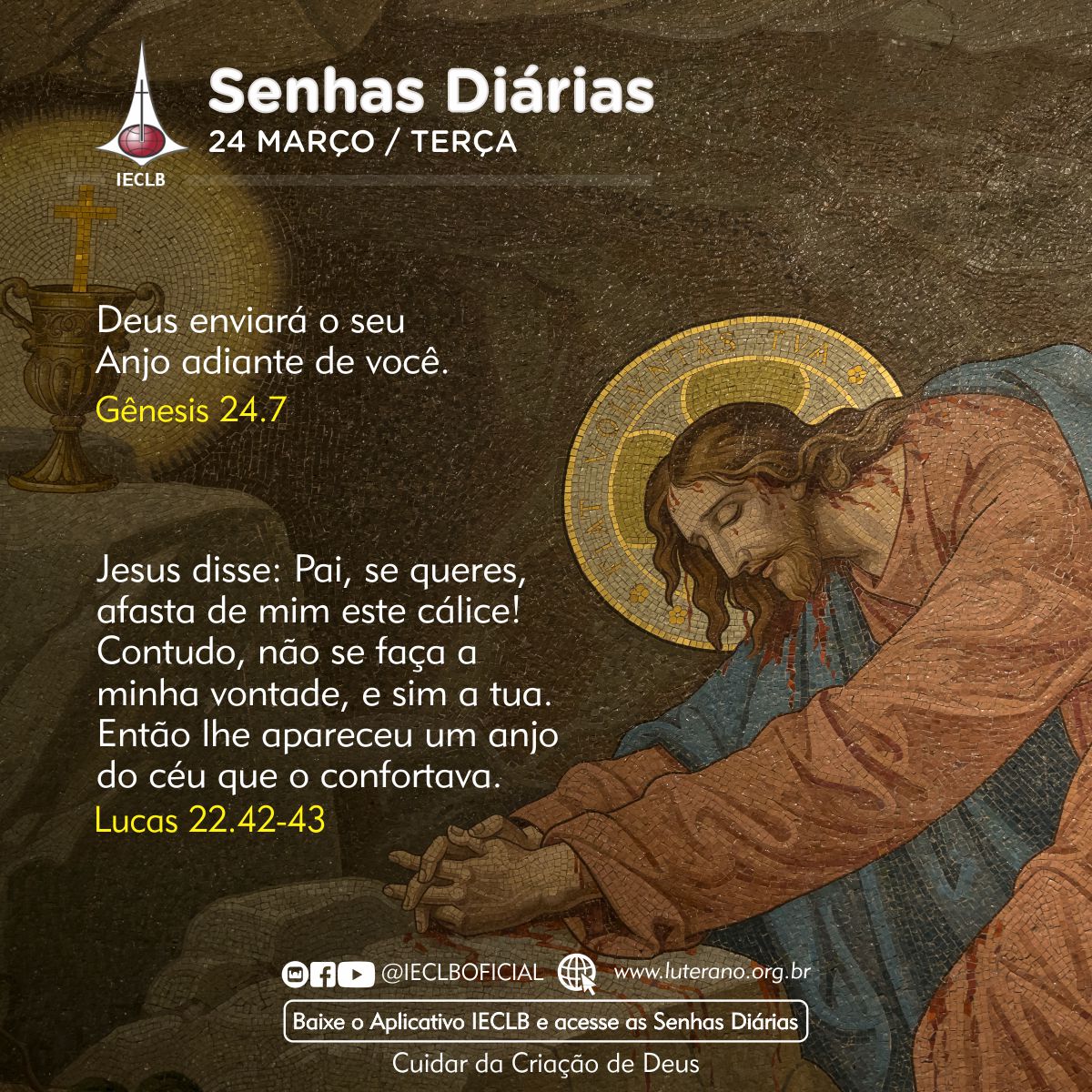 Senhas Diárias 24 03 2026