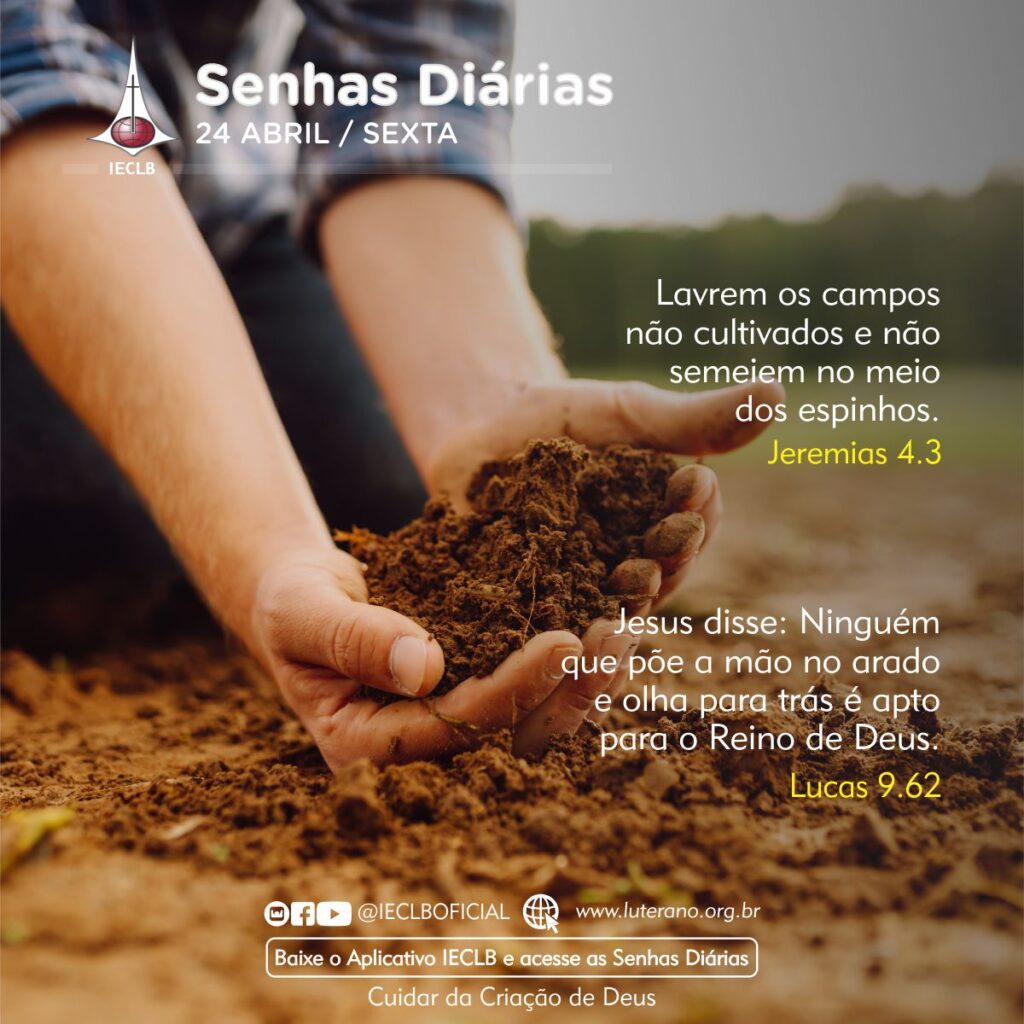 Senhas Diárias 24 04 2026