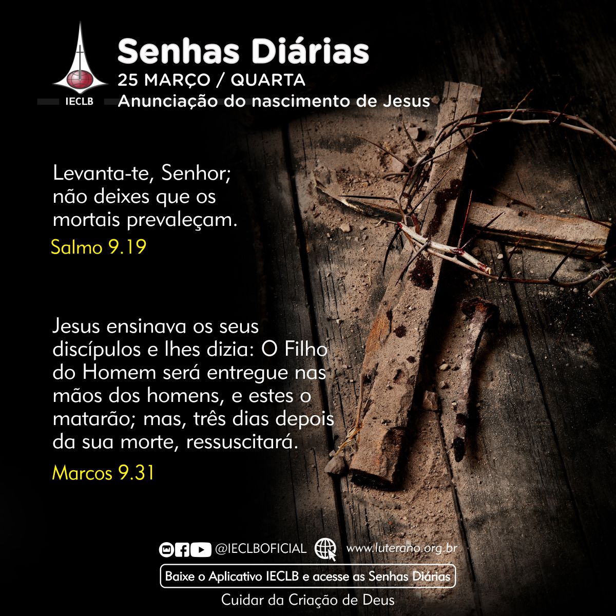 Senhas Diárias 25 03 2026