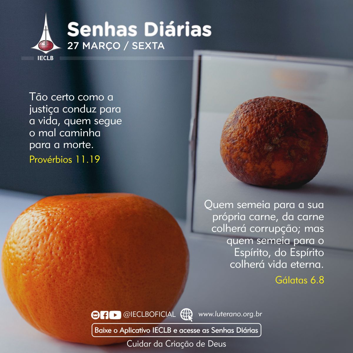 Senhas Diárias 27 03 2026