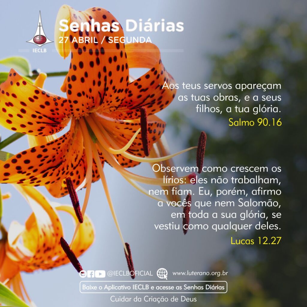 Senhas Diárias 27 04 2026