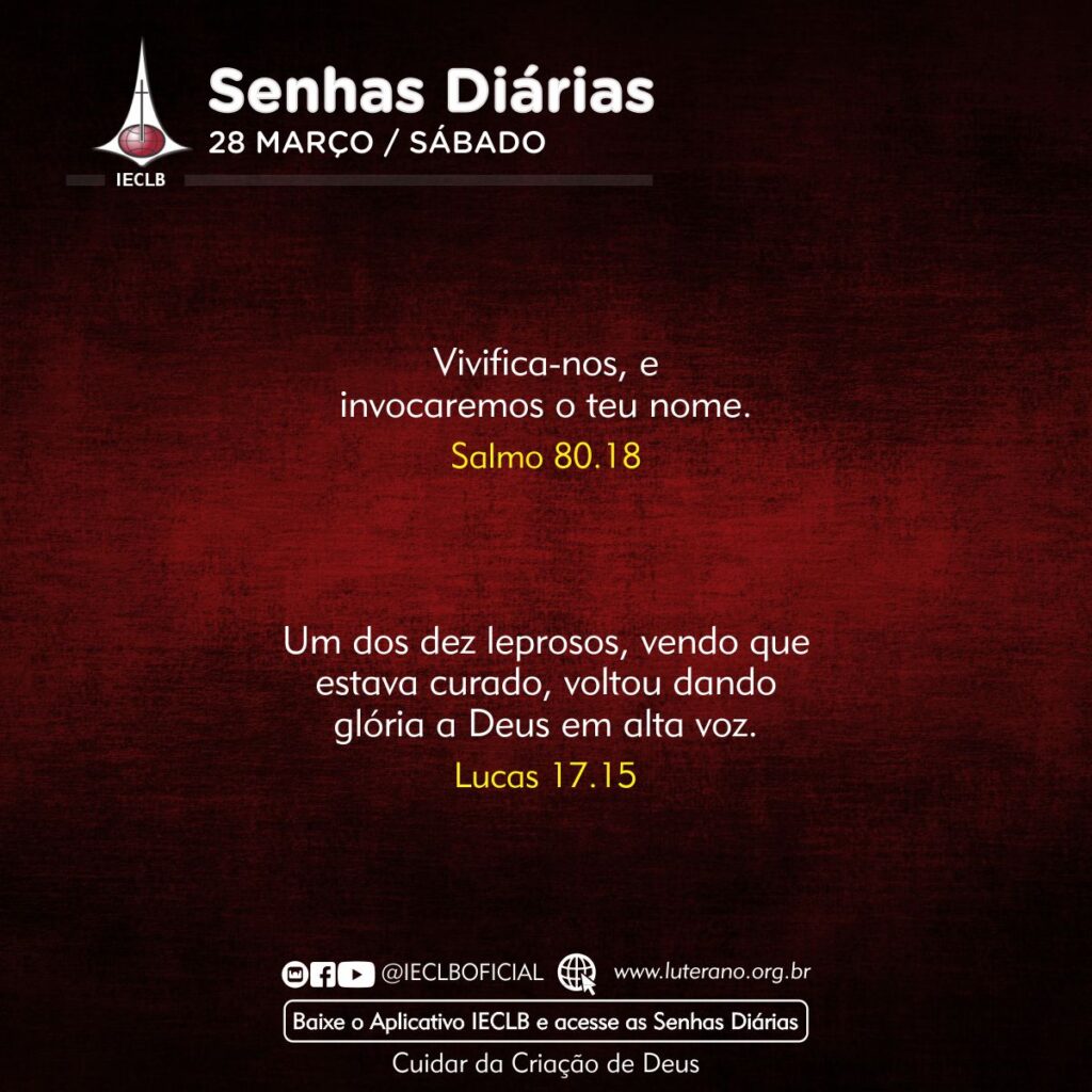 Senhas Diárias 28 03 2026